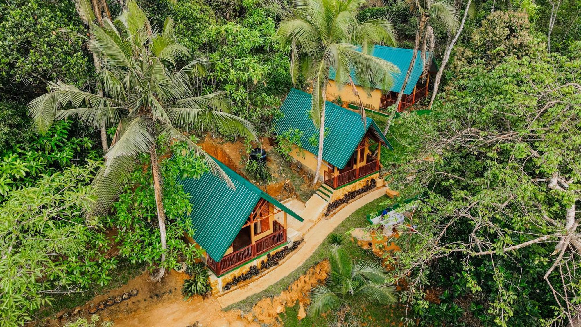 The Rainforest Hideaway Deniyaya Exterior foto