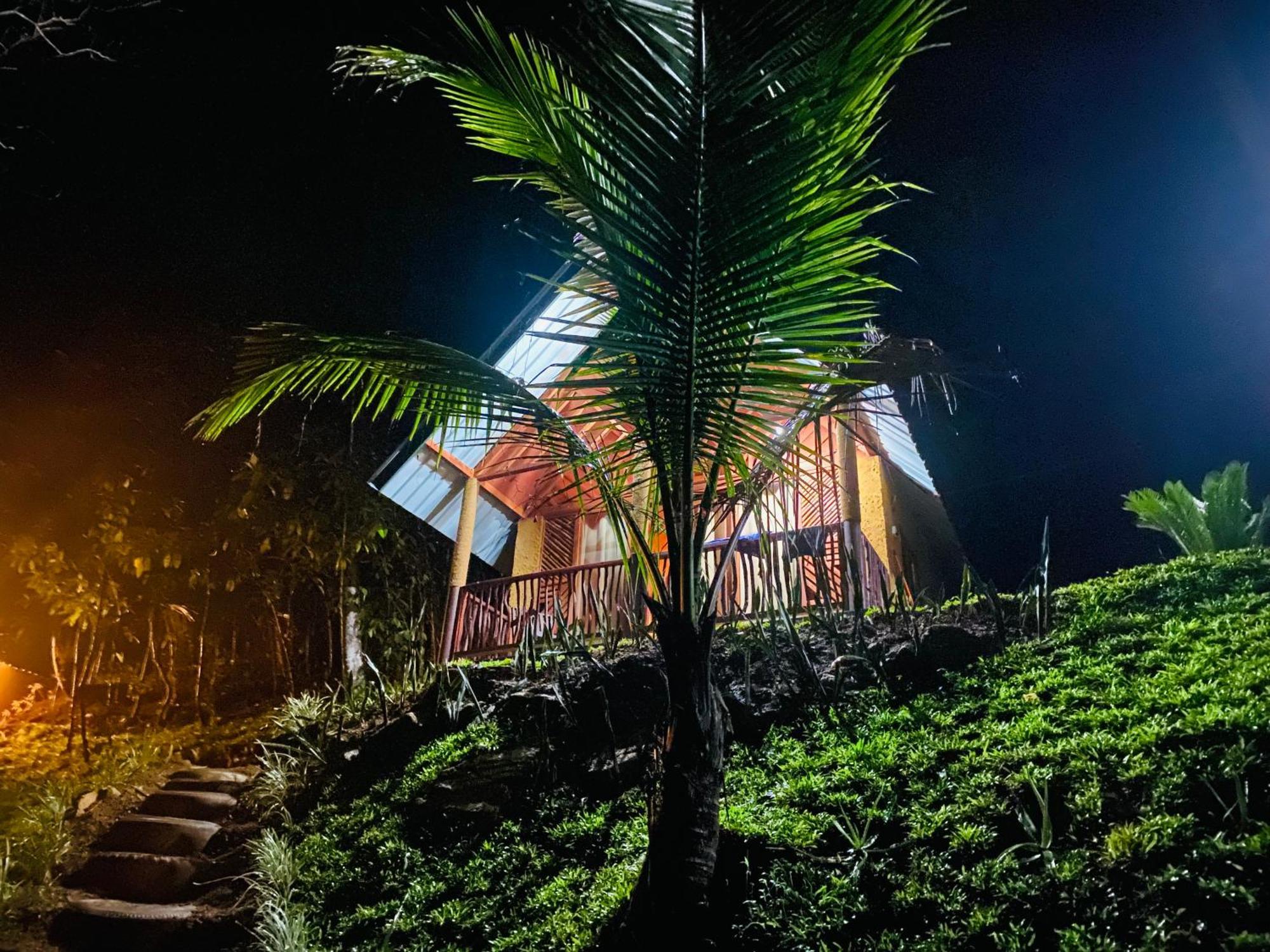 The Rainforest Hideaway Deniyaya Exterior foto