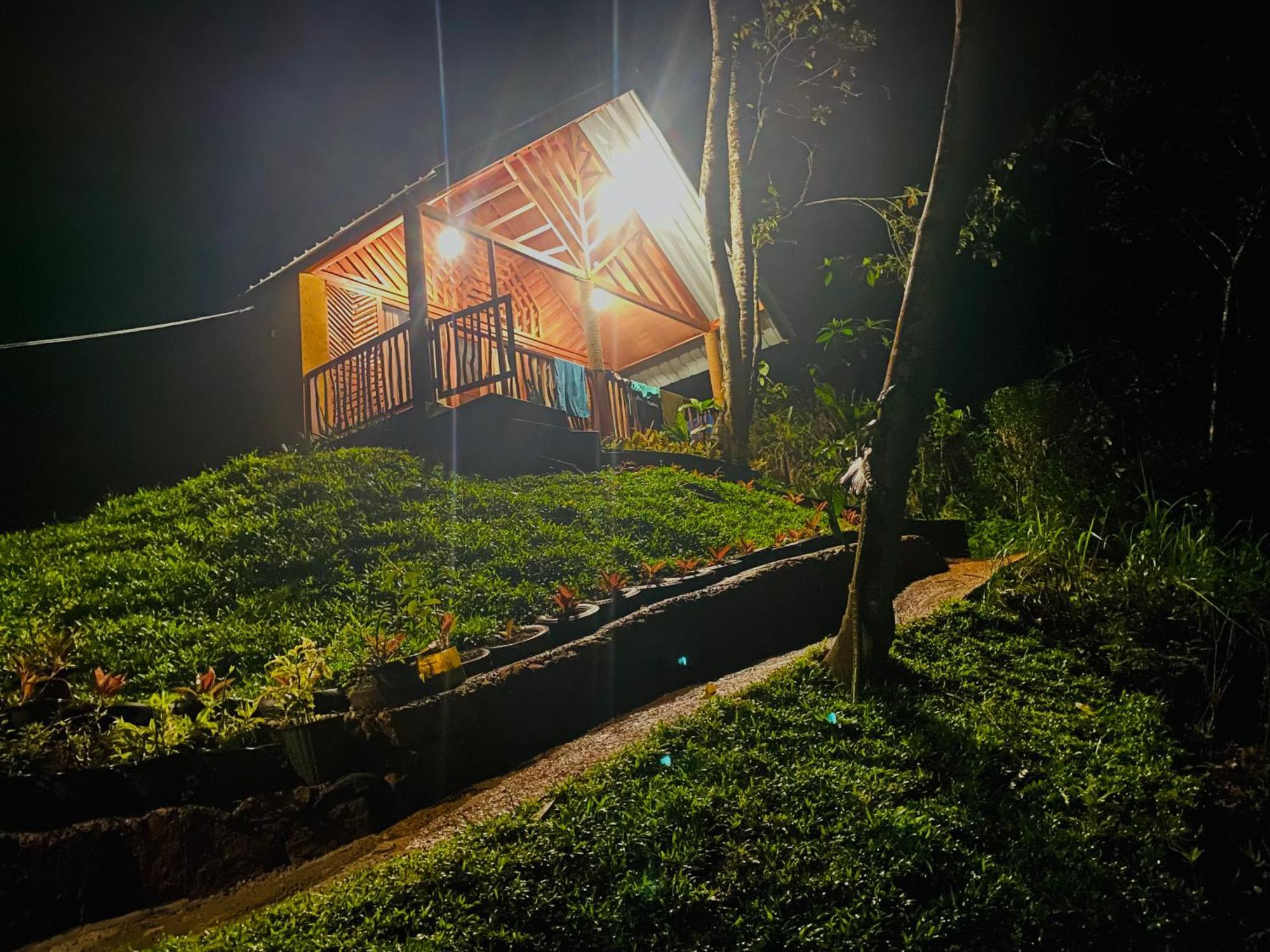 The Rainforest Hideaway Deniyaya Exterior foto