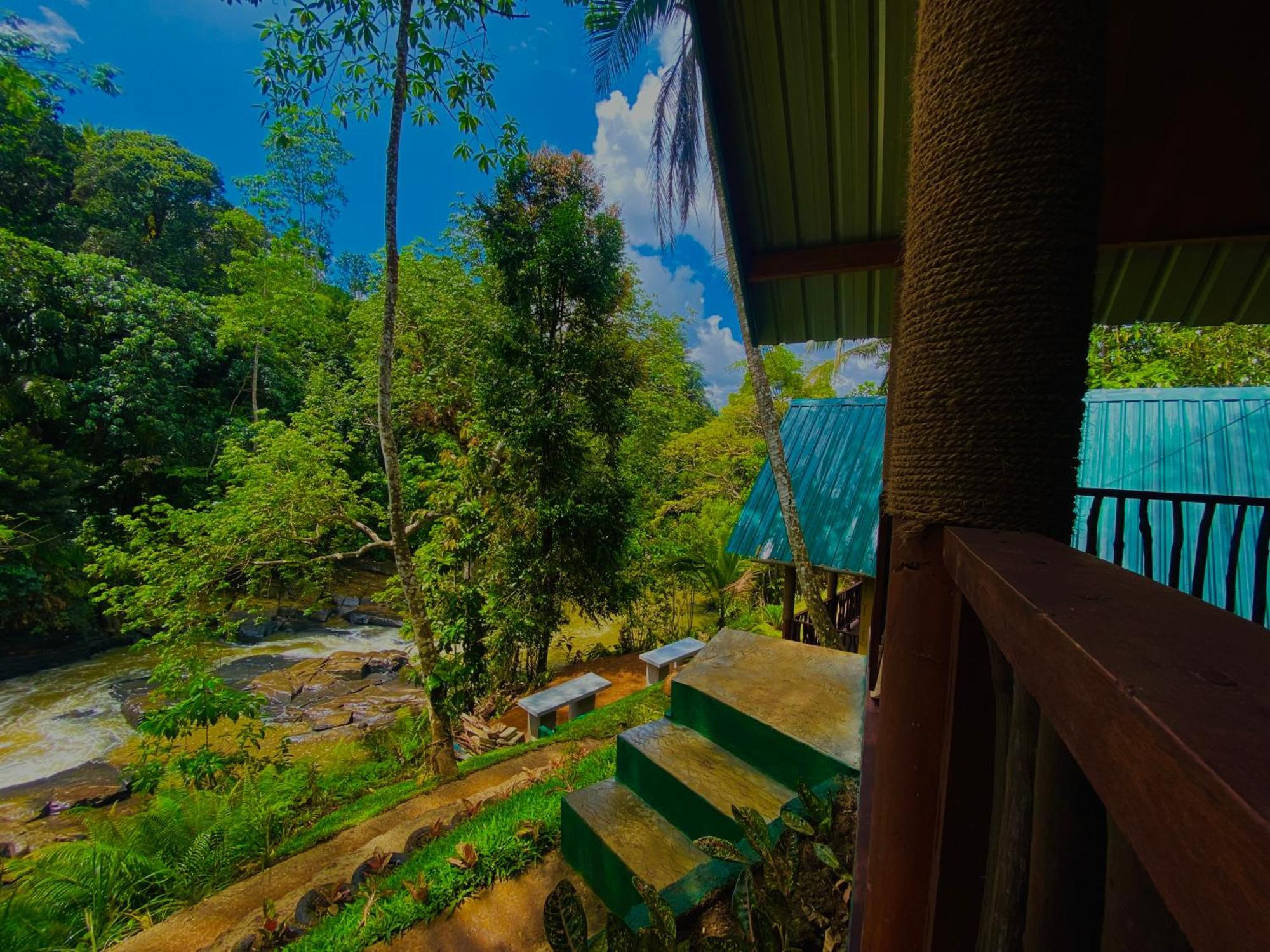 The Rainforest Hideaway Deniyaya Exterior foto